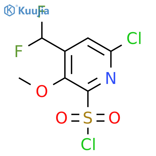 6-Chloro-4-(difluoromethyl)-3-methoxypyridine-2-sulfonyl chloride structure