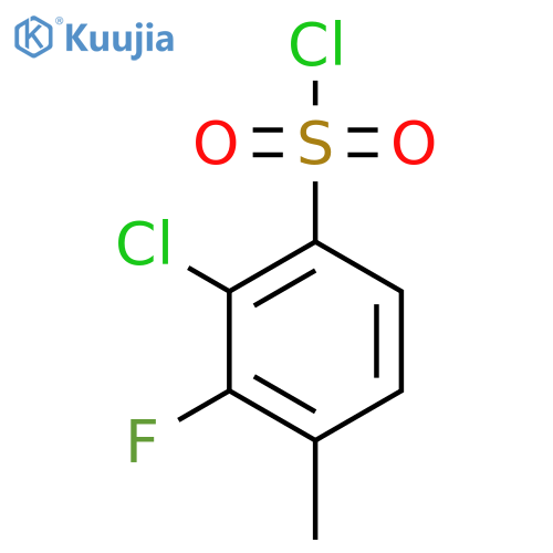 2-Chloro-3-fluoro-4-methylbenzenesulfonyl chloride structure