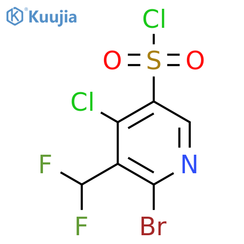 2-Bromo-4-chloro-3-(difluoromethyl)pyridine-5-sulfonyl chloride structure