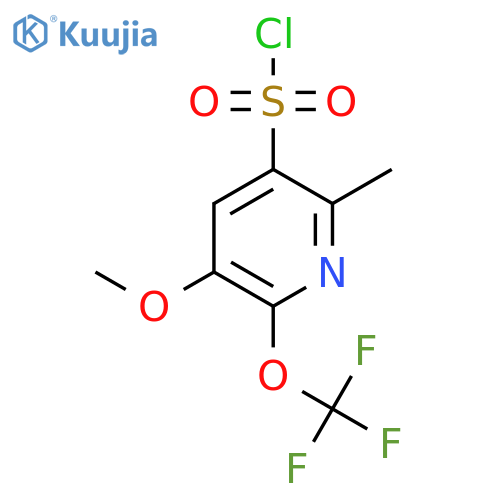 3-Methoxy-6-methyl-2-(trifluoromethoxy)pyridine-5-sulfonyl chloride structure