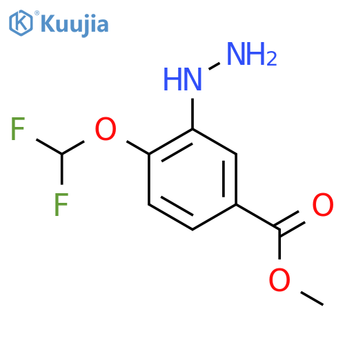 Methyl 4-(difluoromethoxy)-3-hydrazinylbenzoate structure