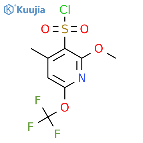 2-Methoxy-4-methyl-6-(trifluoromethoxy)pyridine-3-sulfonyl chloride structure