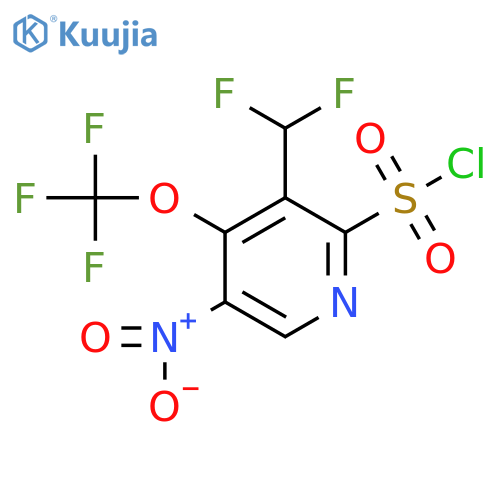 3-(Difluoromethyl)-5-nitro-4-(trifluoromethoxy)pyridine-2-sulfonyl chloride structure