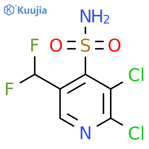2,3-Dichloro-5-(difluoromethyl)pyridine-4-sulfonamide structure