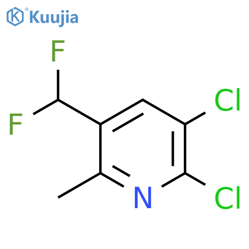 2,3-Dichloro-5-(difluoromethyl)-6-methylpyridine structure