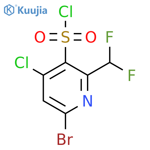 6-Bromo-4-chloro-2-(difluoromethyl)pyridine-3-sulfonyl chloride structure