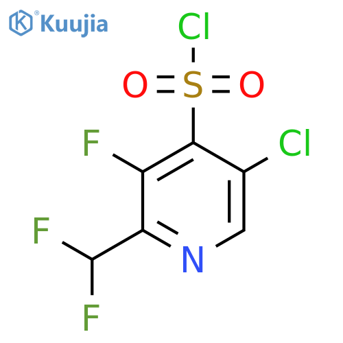 5-Chloro-2-(difluoromethyl)-3-fluoropyridine-4-sulfonyl chloride structure