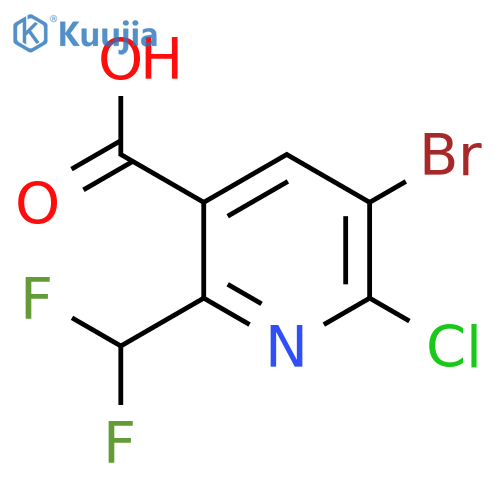 3-Bromo-2-chloro-6-(difluoromethyl)pyridine-5-carboxylic acid structure