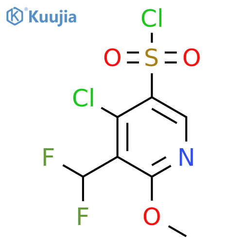 4-Chloro-3-(difluoromethyl)-2-methoxypyridine-5-sulfonyl chloride structure