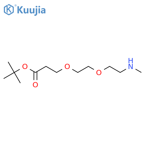 Methylamino-PEG2-t-butylester structure