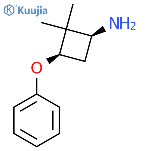 (1S,3R)-2,2-Dimethyl-3-phenoxycyclobutan-1-amine structure