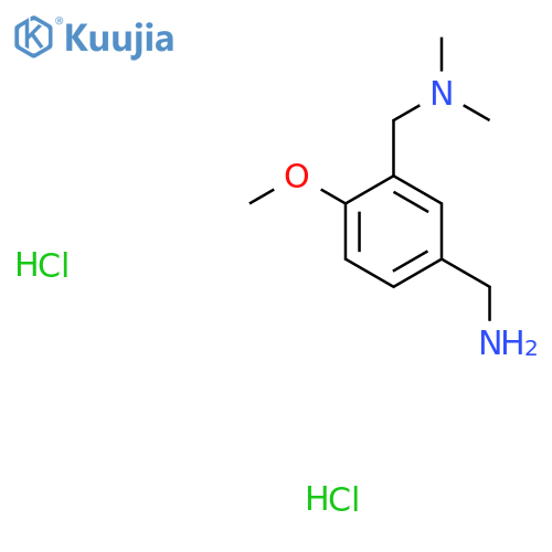 1-{3-[(dimethylamino)methyl]-4-methoxyphenyl}methanamine dihydrochloride structure