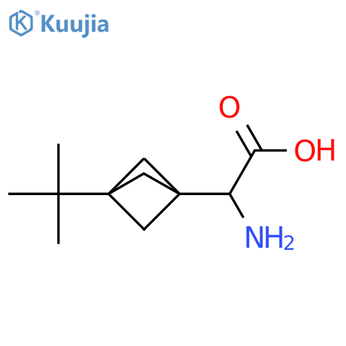 2-amino-2-(3-tert-butyl-1-bicyclo[1.1.1]pentanyl)acetic acid structure