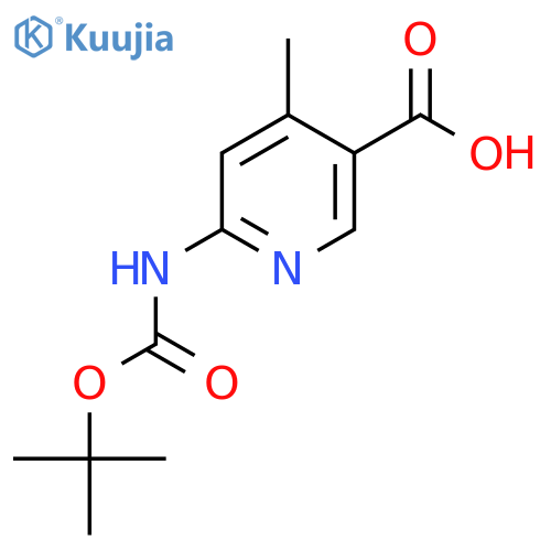 6-[(Tert-butoxycarbonyl)amino]-4-methylnicotinicacid structure