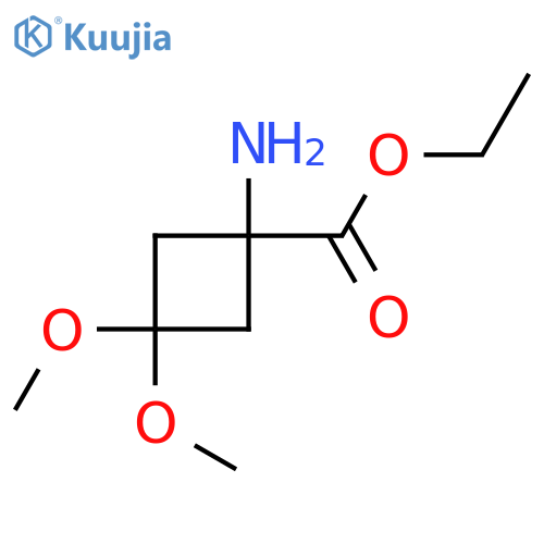 Ethyl 1-amino-3,3-dimethoxycyclobutane-1-carboxylate structure