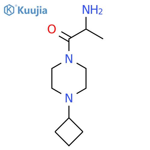 2-Amino-1-(4-cyclobutylpiperazin-1-yl)propan-1-one structure
