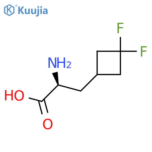 (2S)-2-Amino-3-(3,3-difluorocyclobutyl)propanoic acid structure