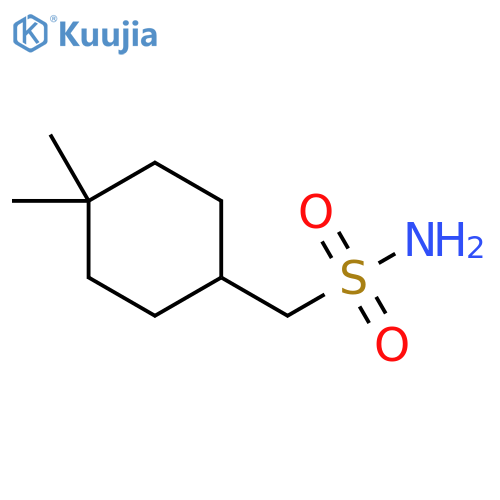 Cyclohexanemethanesulfonamide, 4,4-dimethyl- structure