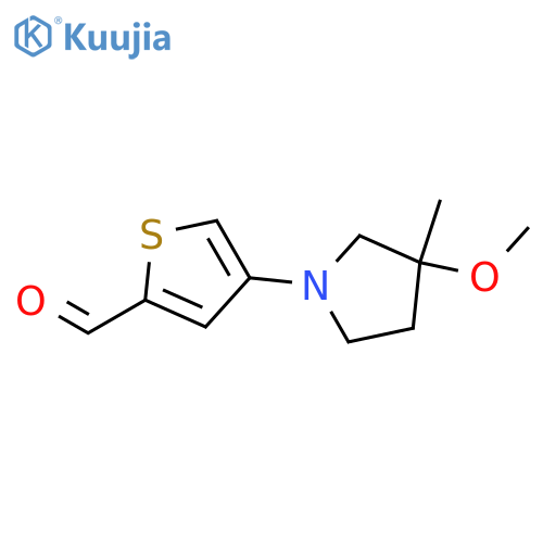 4-(3-Methoxy-3-methylpyrrolidin-1-yl)thiophene-2-carbaldehyde structure