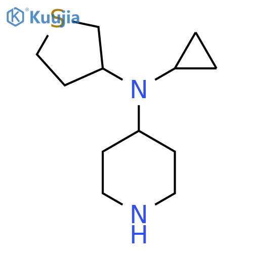 N-Cyclopropyl-N-(tetrahydrothiophen-3-yl)piperidin-4-amine structure