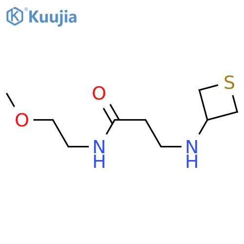 N-(2-methoxyethyl)-3-[(thietan-3-yl)amino]propanamide structure