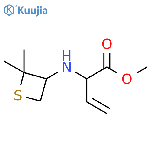 methyl 2-[(2,2-dimethylthietan-3-yl)amino]but-3-enoate structure