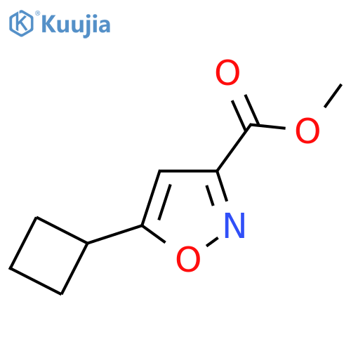 Methyl 5-cyclobutylisoxazole-3-carboxylate structure