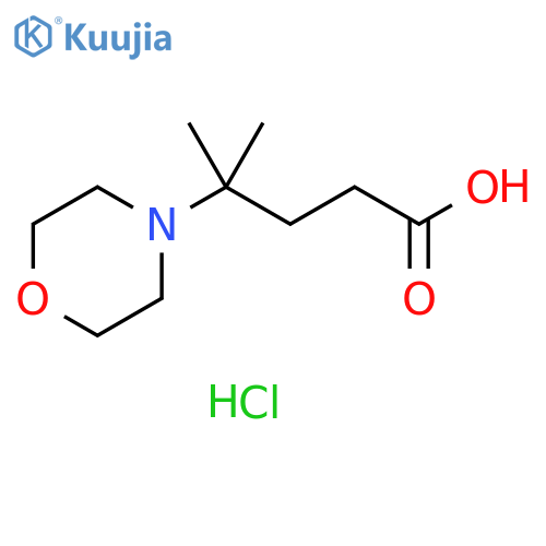 4-methyl-4-(morpholin-4-yl)pentanoic acid hydrochloride structure