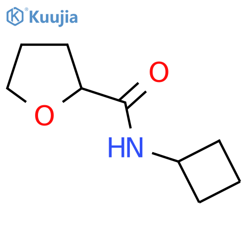 N-cyclobutyloxolane-2-carboxamide structure