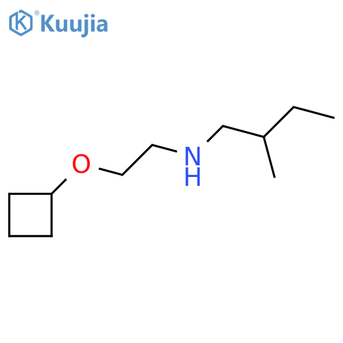 (2-Cyclobutoxyethyl)(2-methylbutyl)amine structure