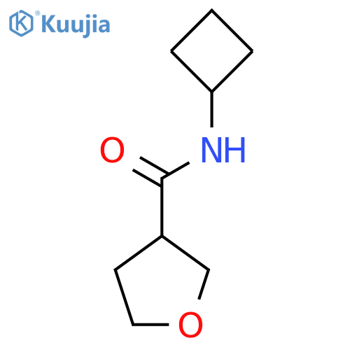 N-cyclobutyloxolane-3-carboxamide structure