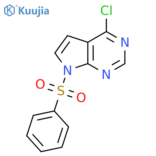 7-(benzenesulfonyl)-4-chloro-7H-pyrrolo[2,3-d]pyrimidine structure