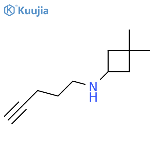 3,3-dimethyl-N-(pent-4-yn-1-yl)cyclobutan-1-amine structure