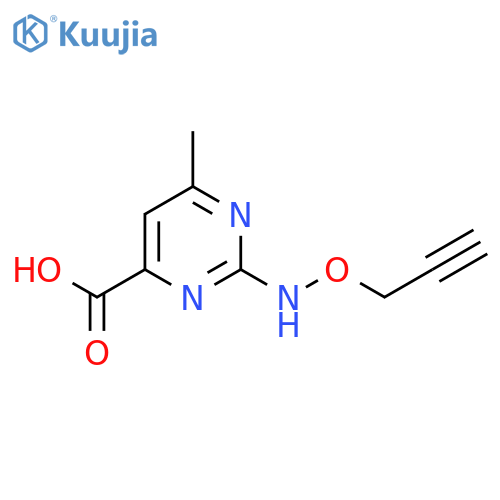 6-methyl-2-(prop-2-yn-1-yloxy)aminopyrimidine-4-carboxylic acid structure