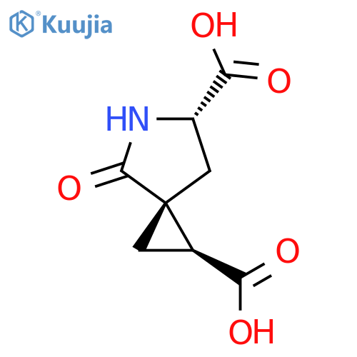 (1S,3R,6S)-4-oxo-5-azaspiro[2.4]heptane-1,6-dicarboxylic acid structure