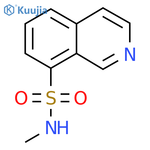 N-methylisoquinoline-8-sulfonamide structure