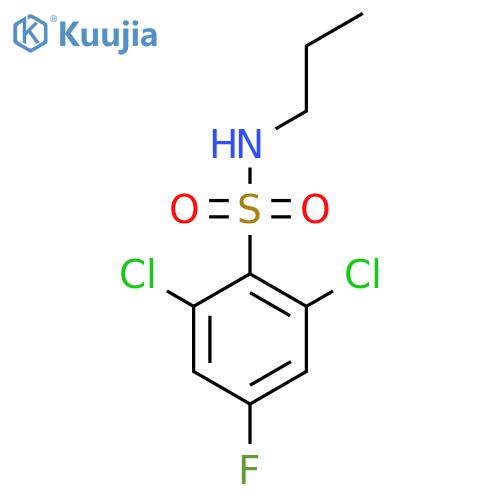2,6-dichloro-4-fluoro-N-propylbenzene-1-sulfonamide structure