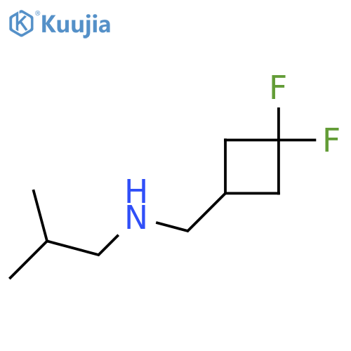[(3,3-Difluorocyclobutyl)methyl](2-methylpropyl)amine structure