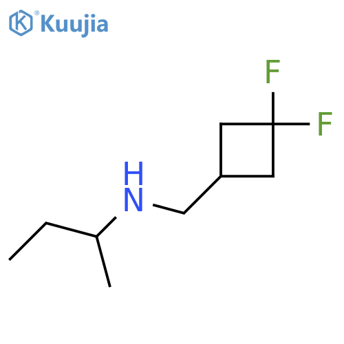 N-[(3,3-difluorocyclobutyl)methyl]butan-2-amine structure