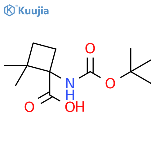 Cyclobutanecarboxylic acid, 1-[[(1,1-dimethylethoxy)carbonyl]amino]-2,2-dimethyl- structure