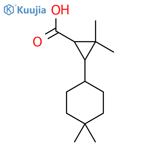 3-(4,4-Dimethylcyclohexyl)-2,2-dimethylcyclopropane-1-carboxylic acid structure