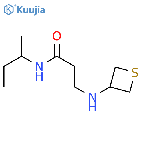 N-(butan-2-yl)-3-[(thietan-3-yl)amino]propanamide structure