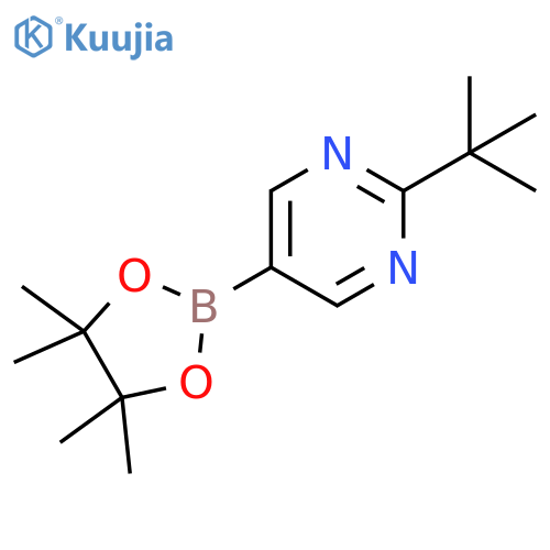 Pyrimidine, 2-(1,1-dimethylethyl)-5-(4,4,5,5-tetramethyl-1,3,2-dioxaborolan-2-yl)- structure