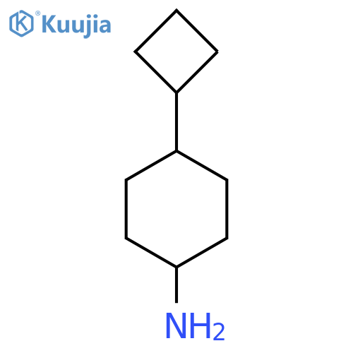 4-Cyclobutylcyclohexan-1-amine structure