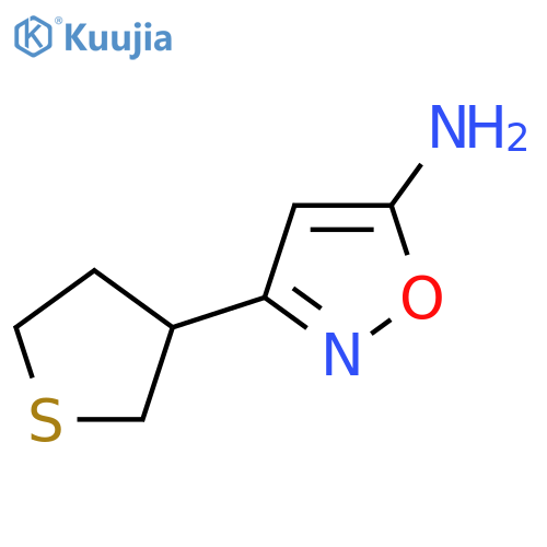 3-(thiolan-3-yl)-1,2-oxazol-5-amine structure