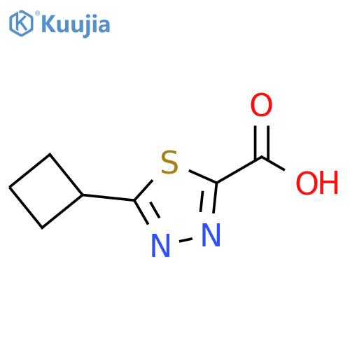 1,3,4-Thiadiazole-2-carboxylic acid, 5-cyclobutyl- structure