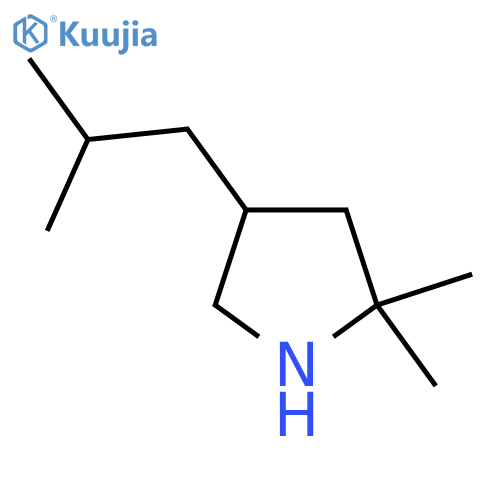 2,2-Dimethyl-4-(2-methylpropyl)pyrrolidine structure