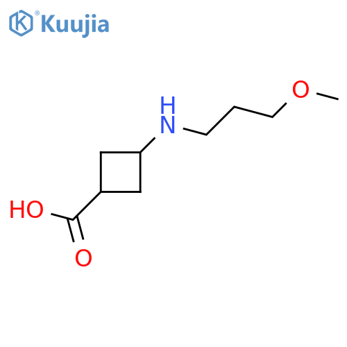 3-(3-methoxypropyl)aminocyclobutane-1-carboxylic acid structure