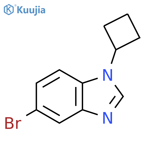 5-bromo-1-cyclobutyl-1H-1,3-benzodiazole structure