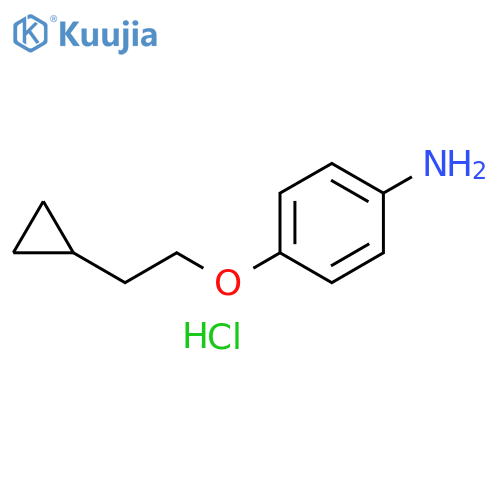 4-(2-cyclopropylethoxy)aniline hydrochloride structure